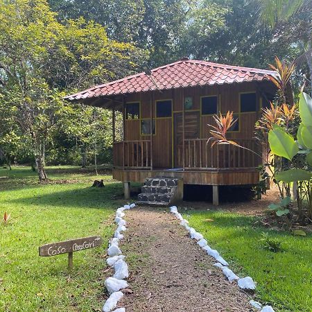 Sabalo Lodge Tours And Cabins Sierpe Exterior foto