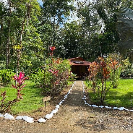 Sabalo Lodge Tours And Cabins Sierpe Exterior foto