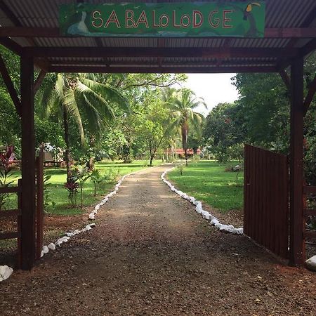 Sabalo Lodge Tours And Cabins Sierpe Exterior foto