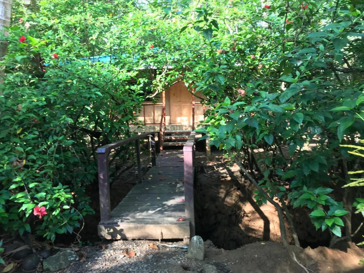 Sabalo Lodge Tours And Cabins Sierpe Exterior foto