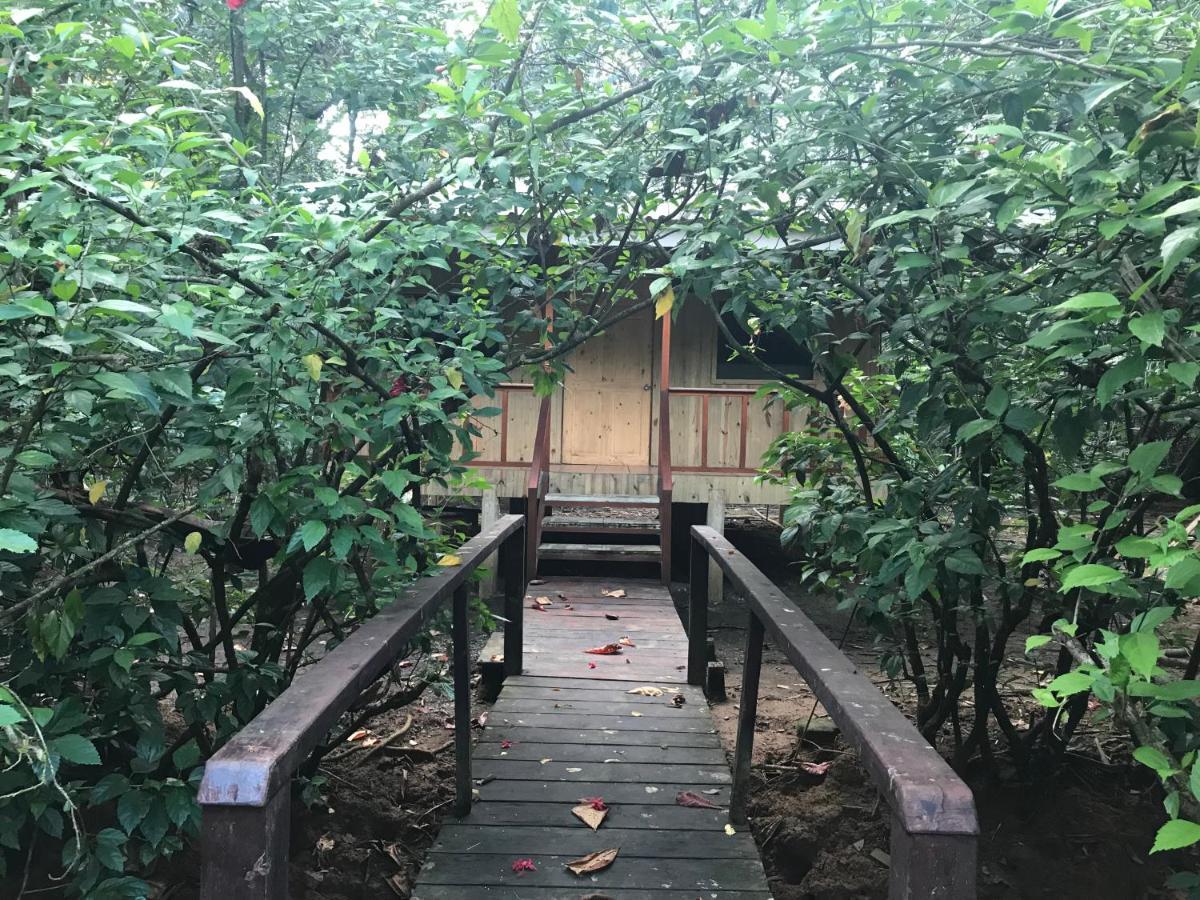 Sabalo Lodge Tours And Cabins Sierpe Exterior foto