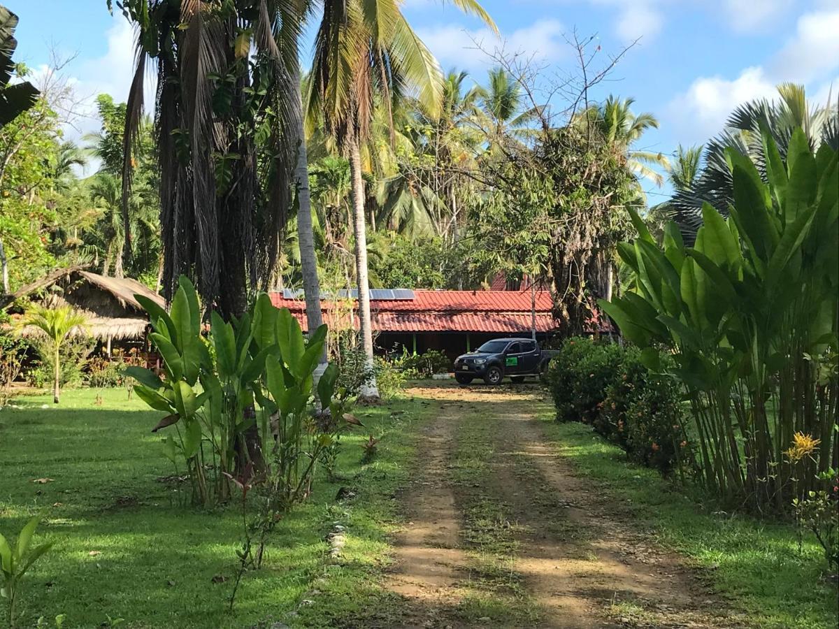 Sabalo Lodge Tours And Cabins Sierpe Exterior foto
