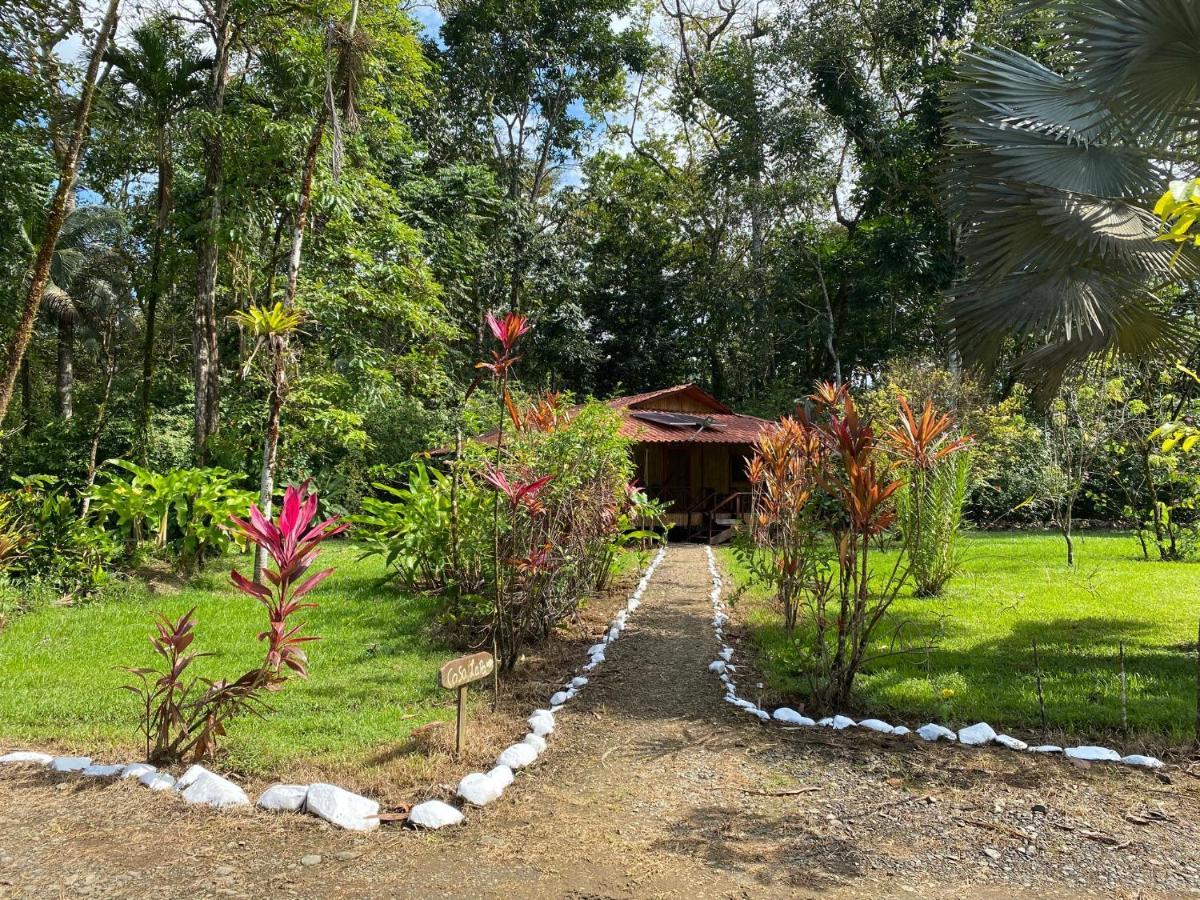 Sabalo Lodge Tours And Cabins Sierpe Exterior foto