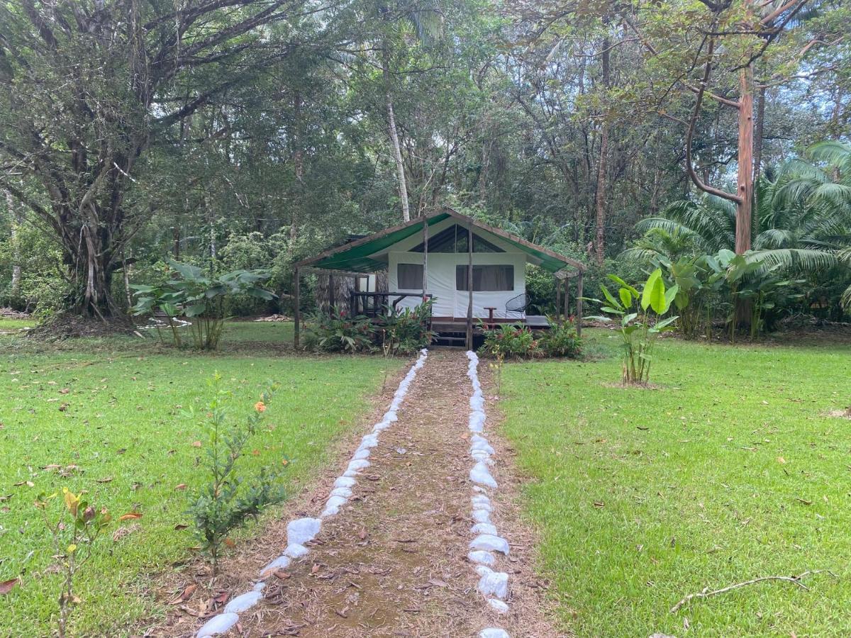 Sabalo Lodge Tours And Cabins Sierpe Exterior foto
