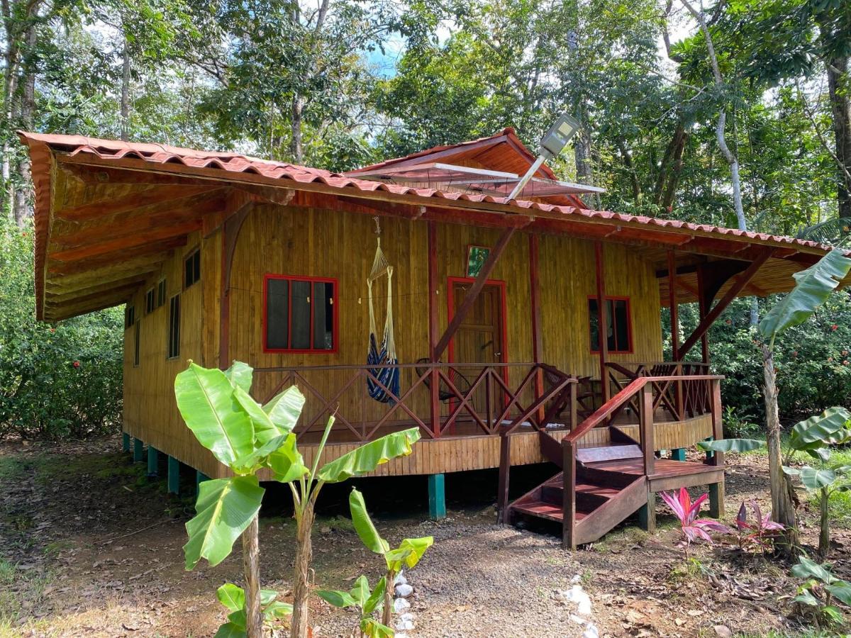 Sabalo Lodge Tours And Cabins Sierpe Exterior foto