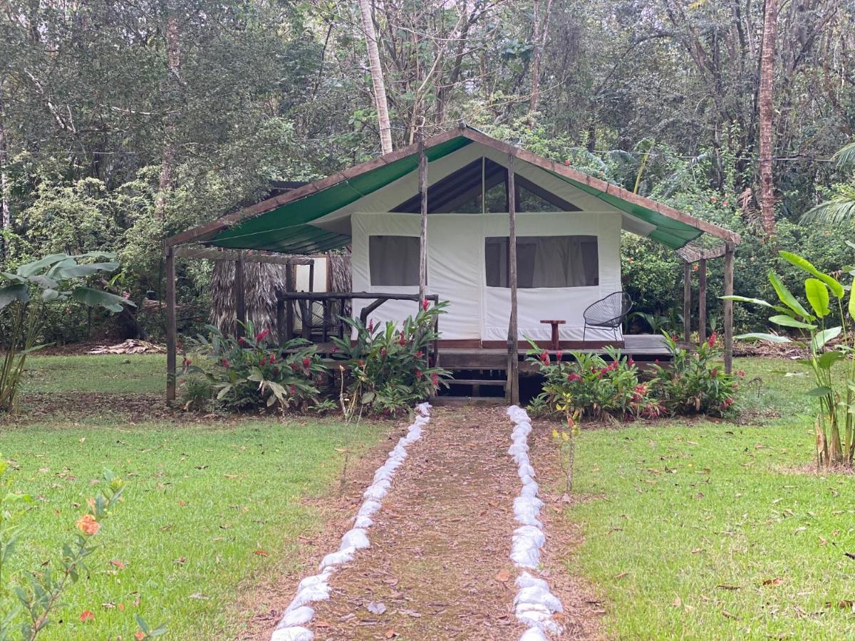 Sabalo Lodge Tours And Cabins Sierpe Exterior foto