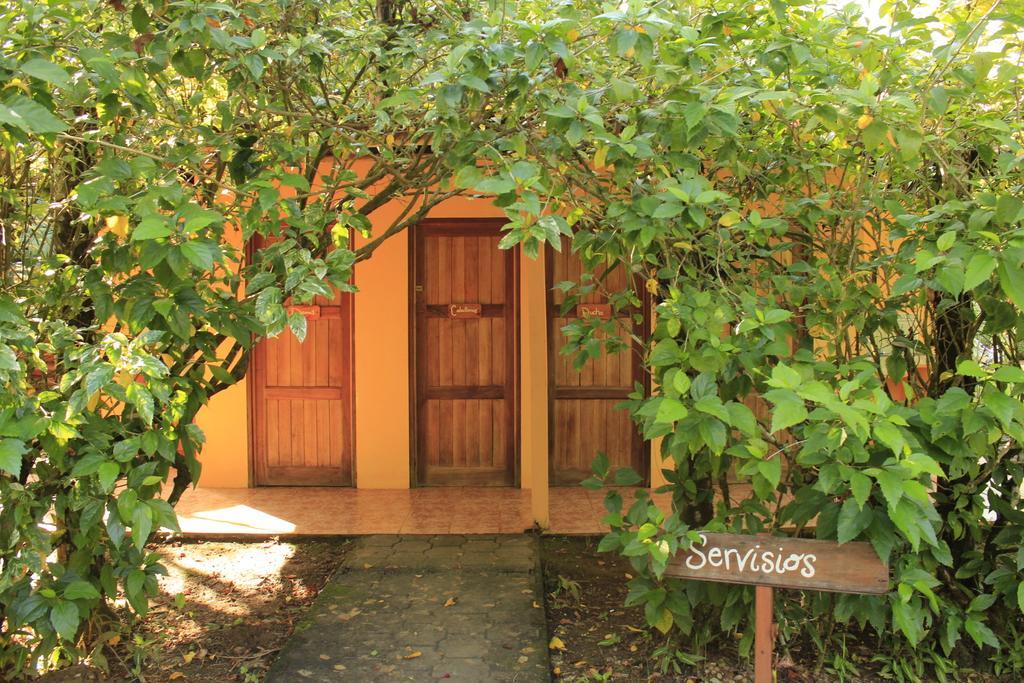 Sabalo Lodge Tours And Cabins Sierpe Exterior foto