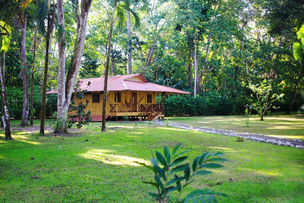 Sabalo Lodge Tours And Cabins Sierpe Zimmer foto