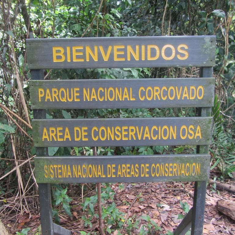 Sabalo Lodge Tours And Cabins Sierpe Exterior foto