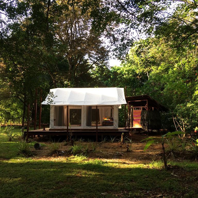 Sabalo Lodge Tours And Cabins Sierpe Exterior foto
