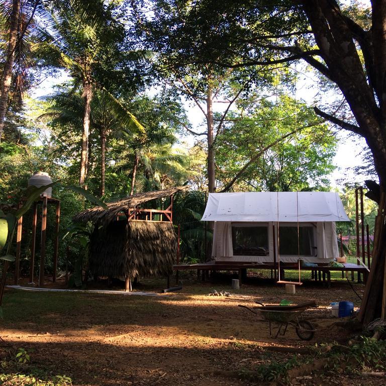 Sabalo Lodge Tours And Cabins Sierpe Exterior foto