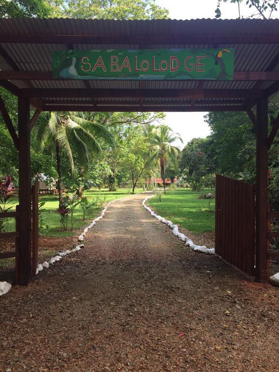Sabalo Lodge Tours And Cabins Sierpe Exterior foto